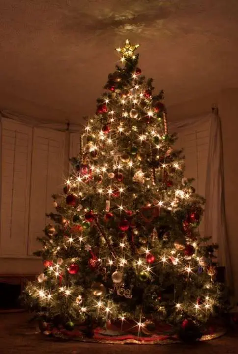 arbol navidad