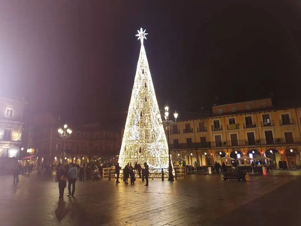 Le&oacute;n en  Navidad