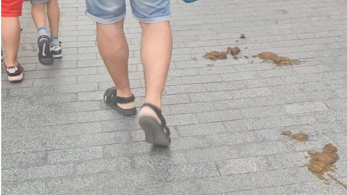 Excrementos de caballo en la calle Ancha