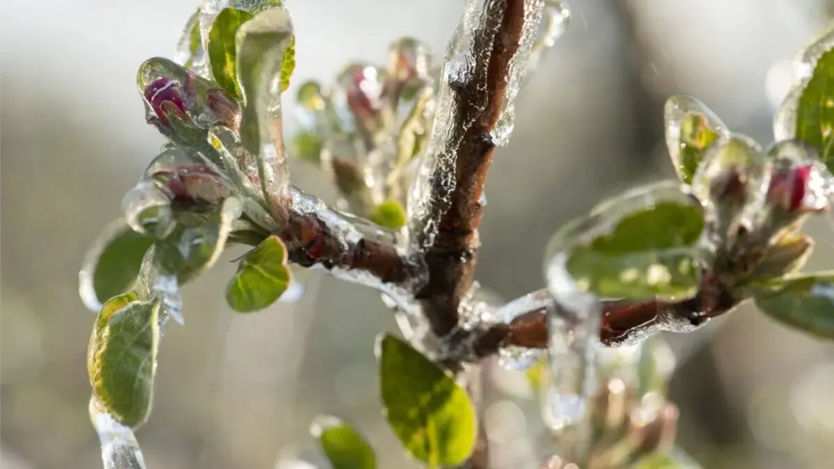 El aspecto invernal sigue en el inicio de la primavera meteorol&oacute;gica