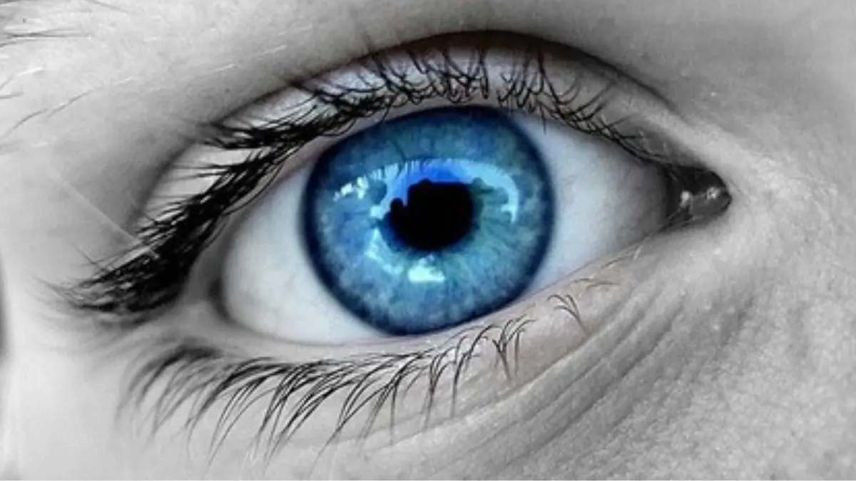&iquest;Por qu&eacute; hay personas que tienen los ojos azules?