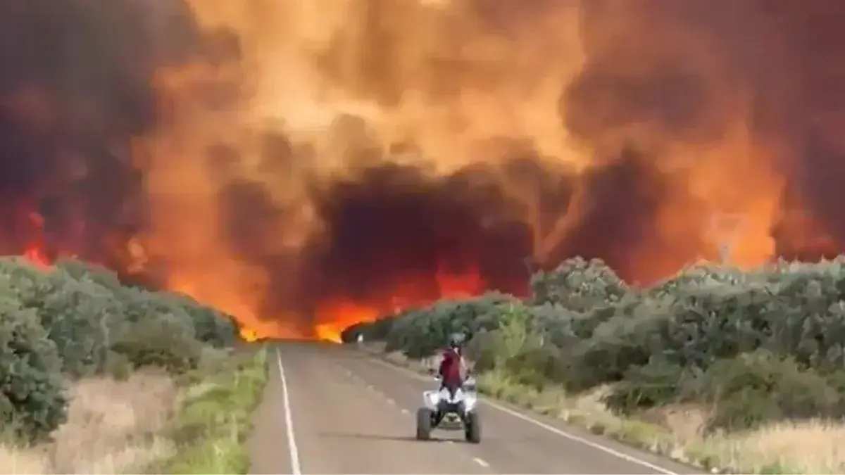 Imagenes del incendio de Molezuelas de la Carballeda que ya afecta a Le&oacute;n