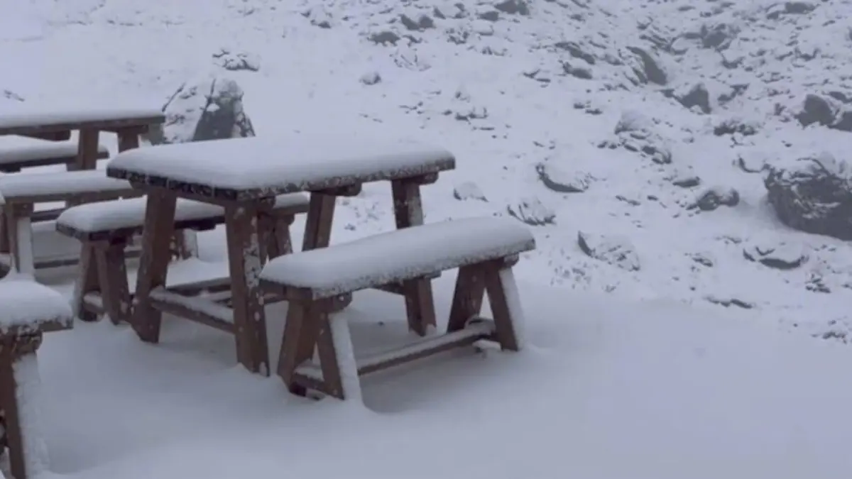 Nevada en Le&oacute;n