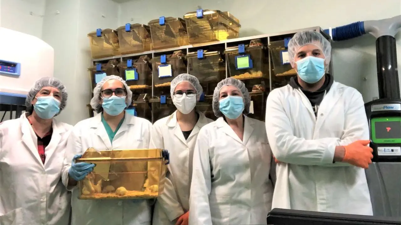 De izq a derecha Rosa Gonz&aacute;lez, Mar&iacute;a D&iacute;az, Jennifer Rey, Julia Vargas y Miguel Fern&aacute;ndez