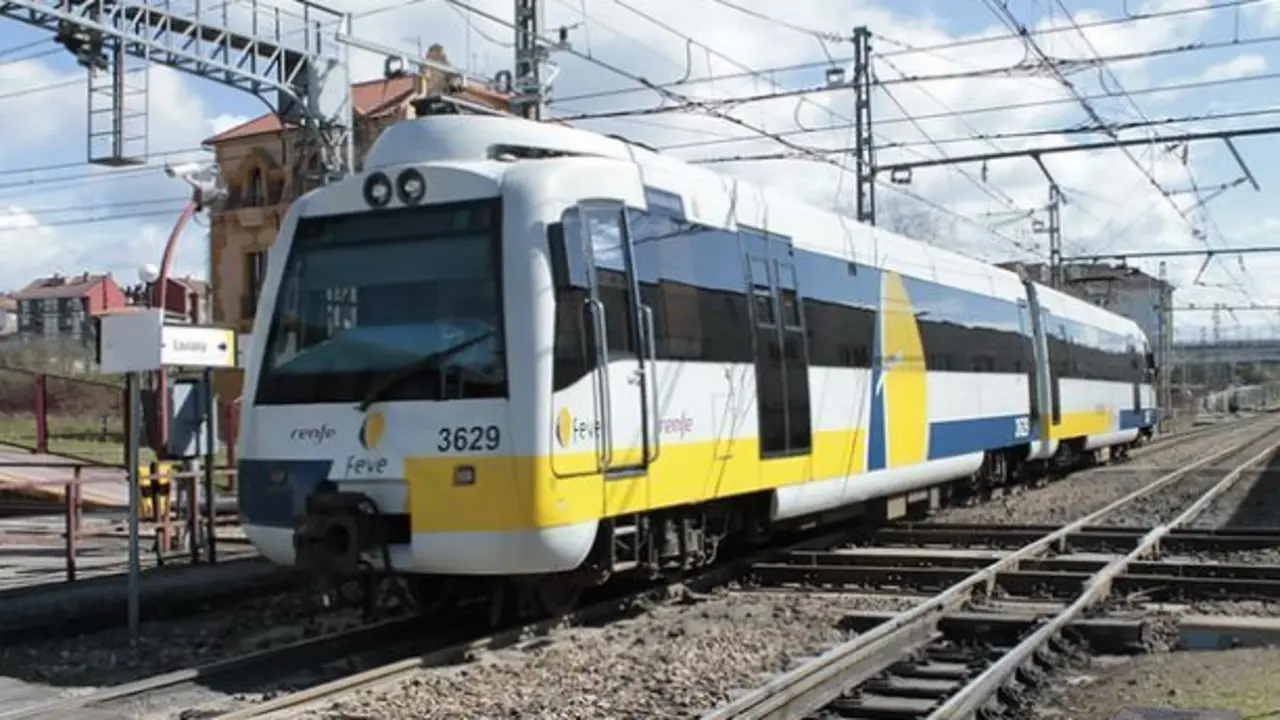  tren feve