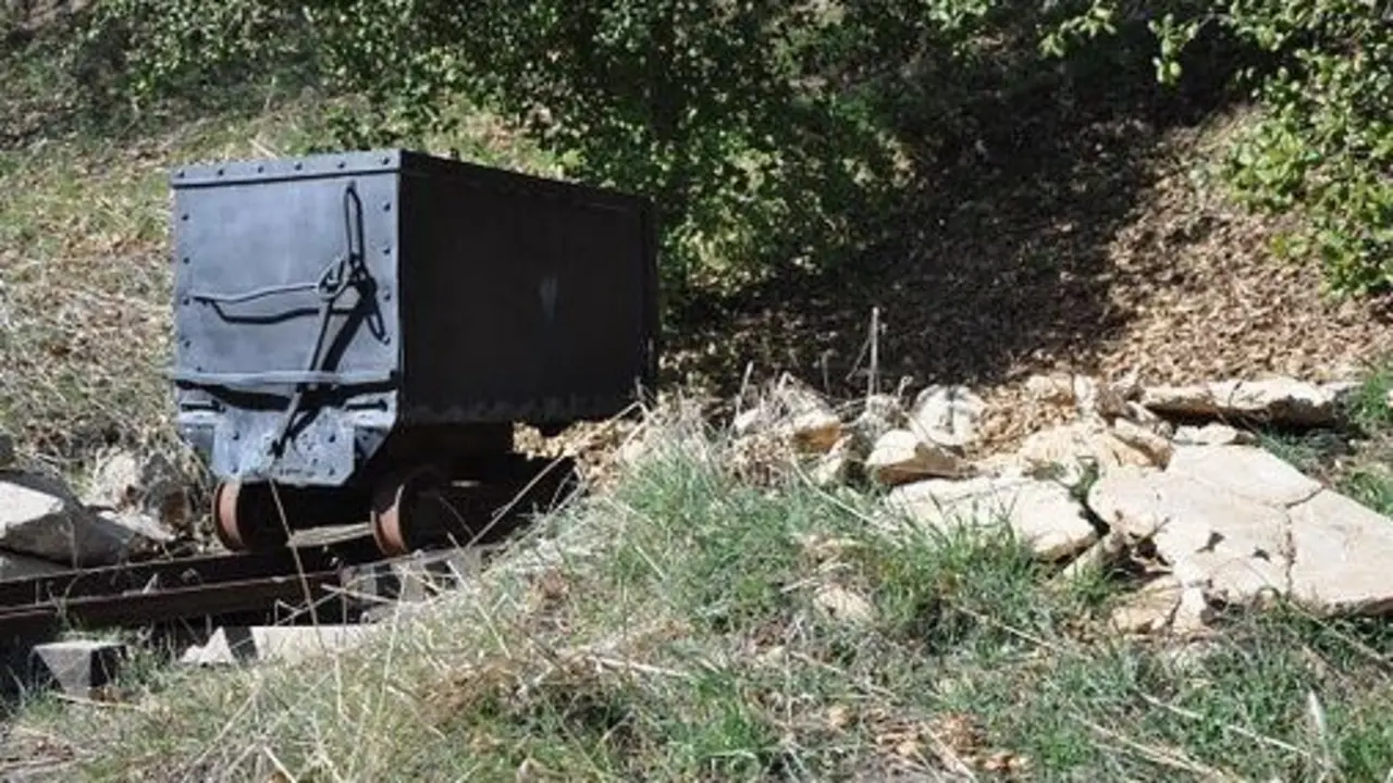 vag&oacute;n tren mina