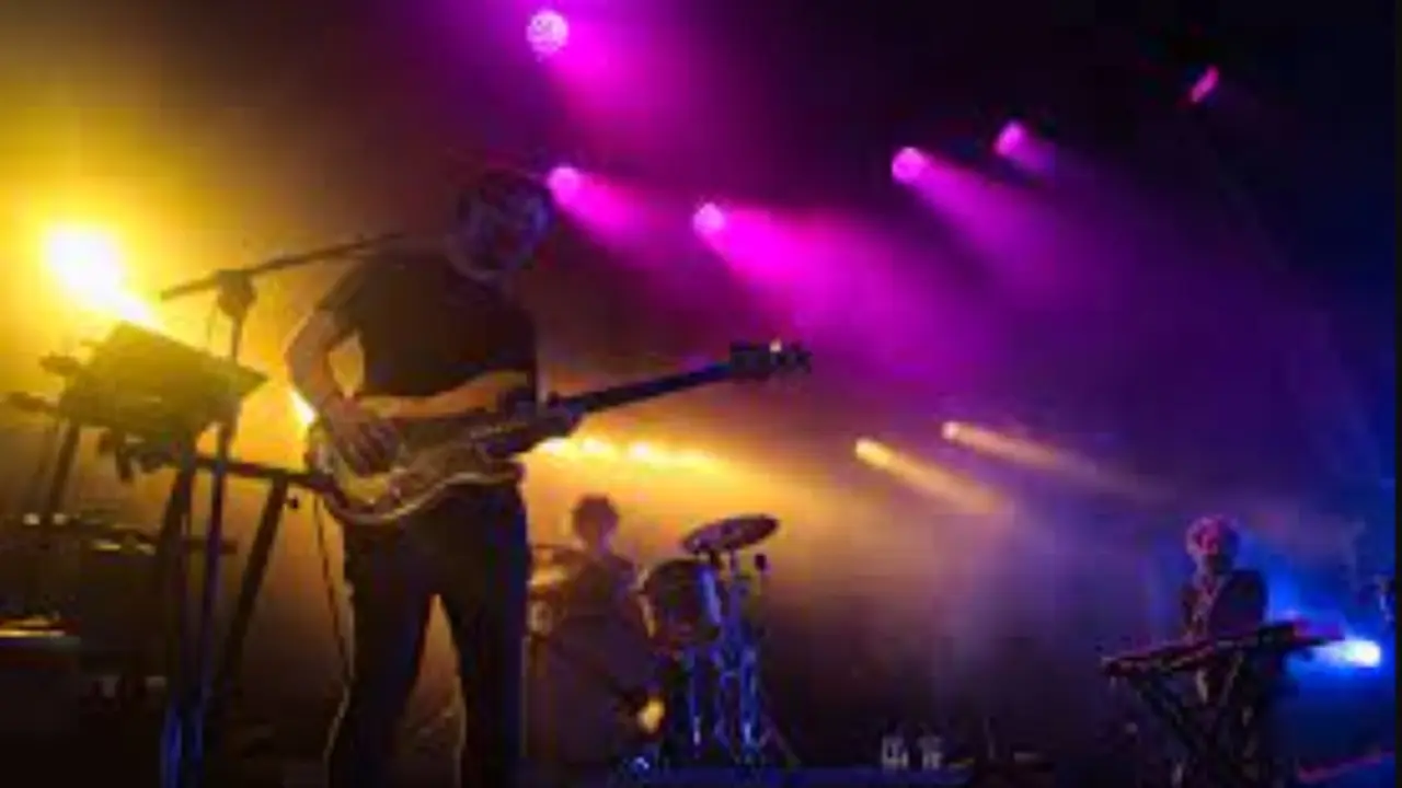 cantante en un concierto