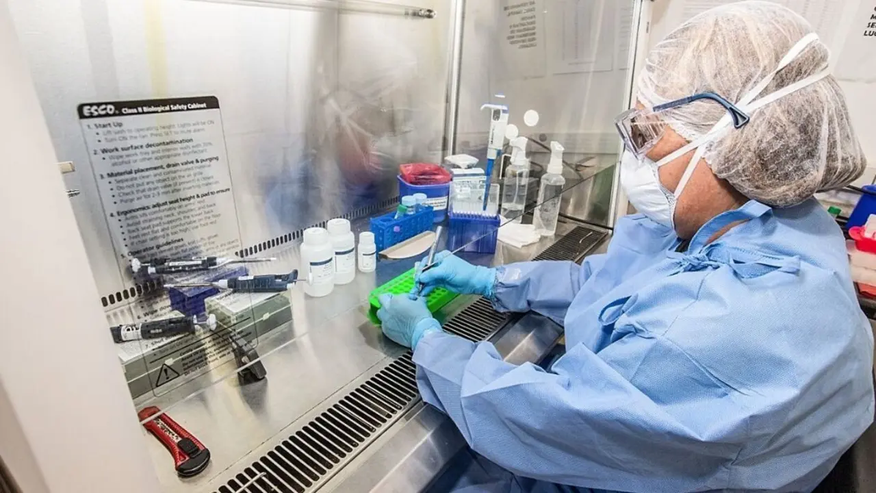 Laboratorio coronavirus