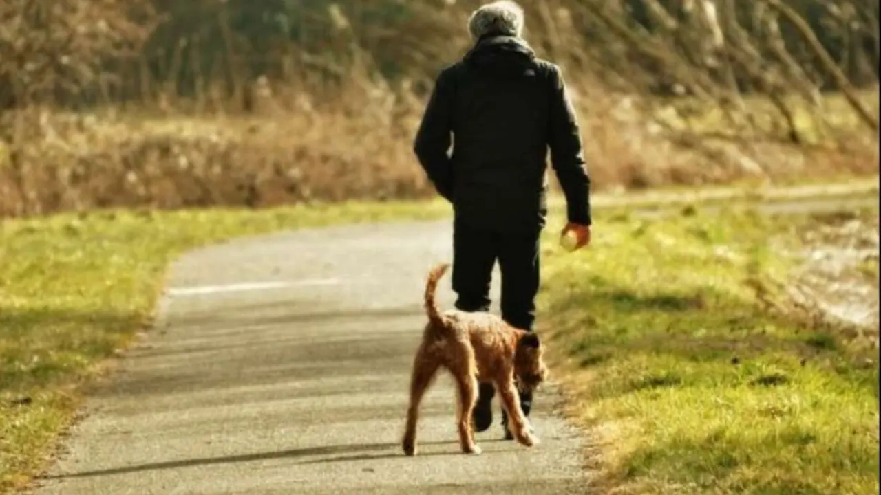 Hombre con un perro