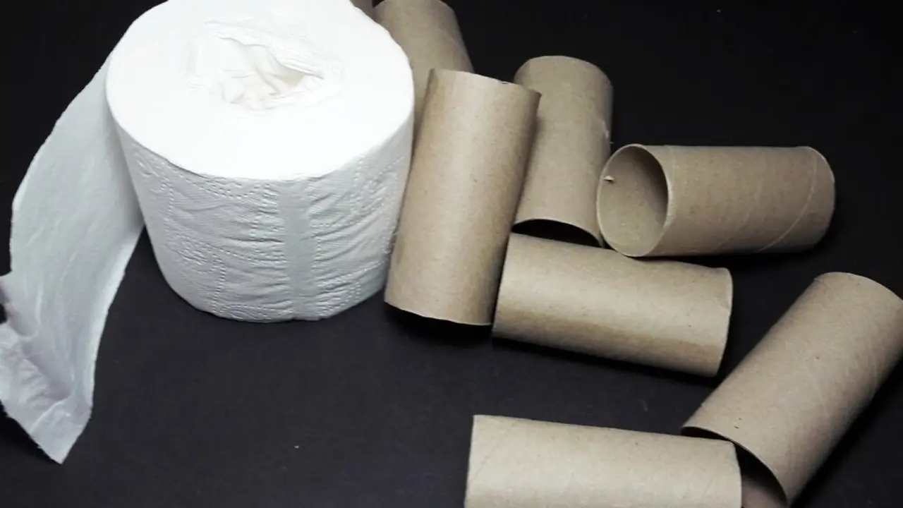 Papel higi&eacute;nico