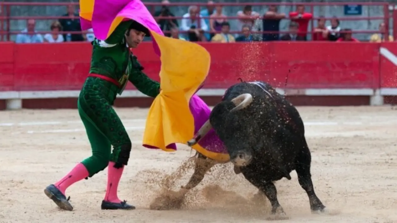 toros