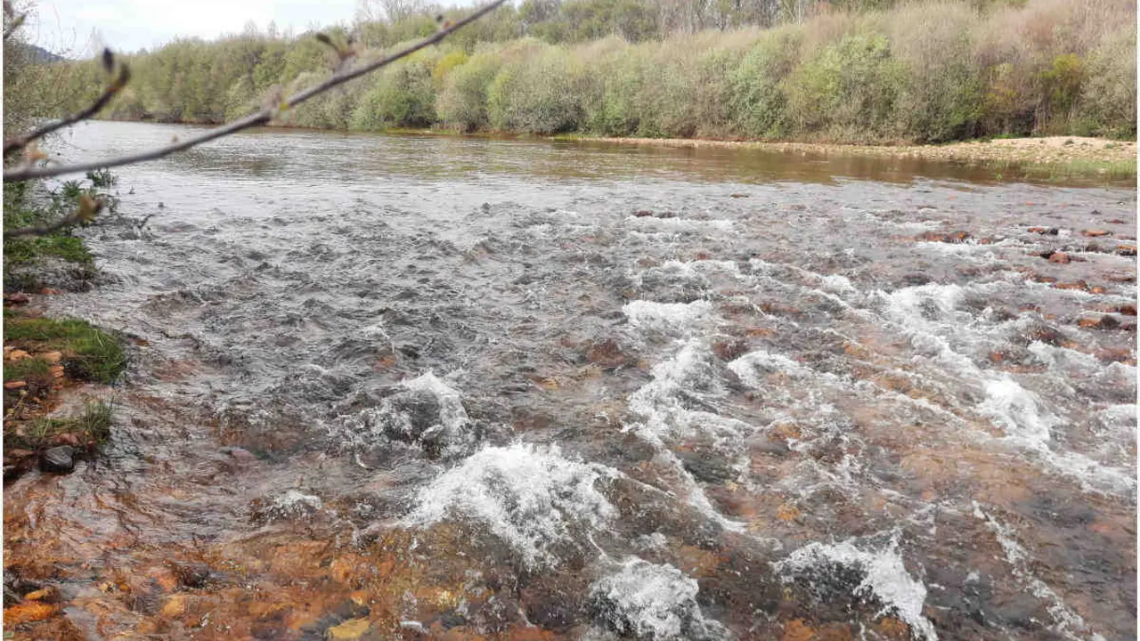 Imagen del caude del r&iacute;o Eria . 