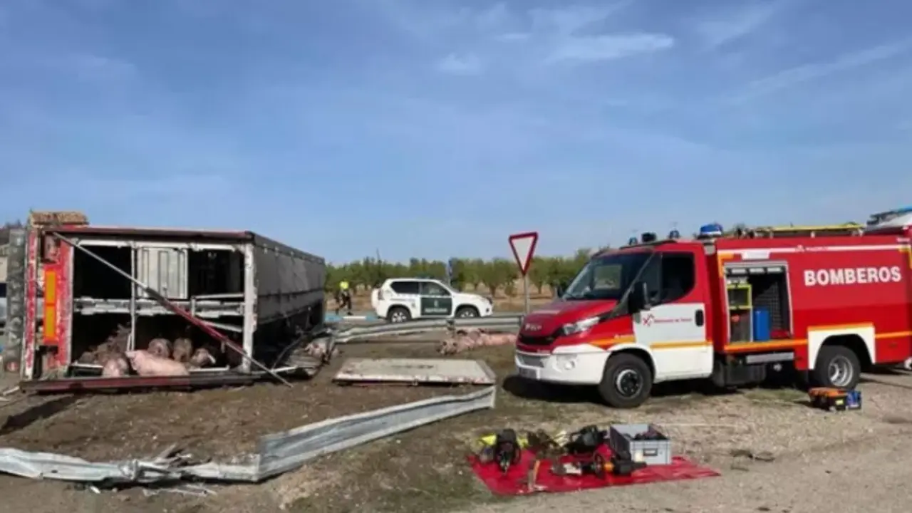 Vuelca un cami&oacute;n que transportaba cerdos en la N-232