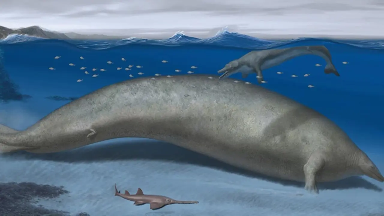 Descubierto el animal m&aacute;s grande de todos los tiempos