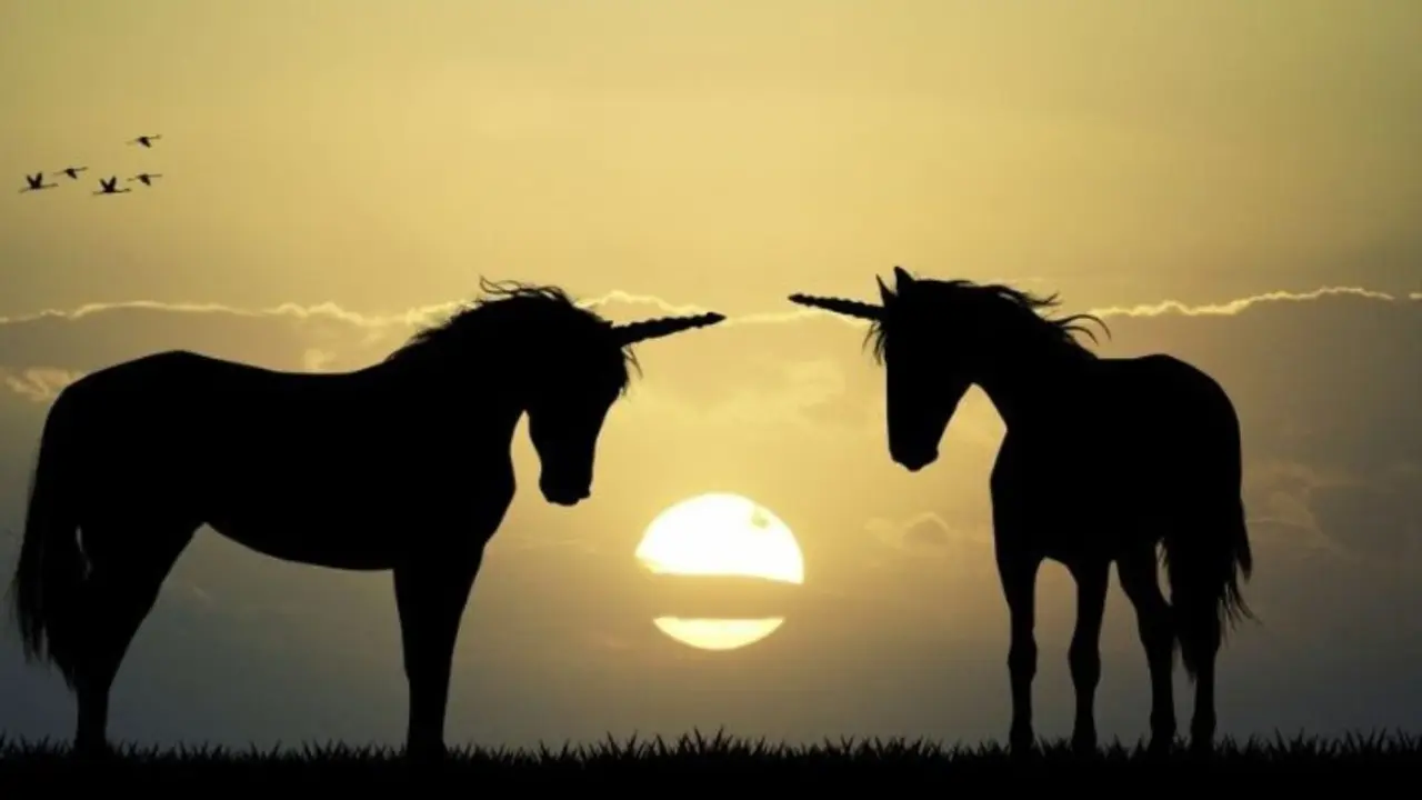Avistan un unicornio en esta ciudad de Castilla y Le&oacute;n