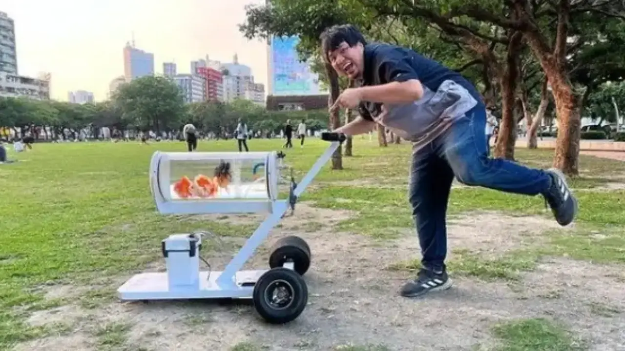 Pasear peces