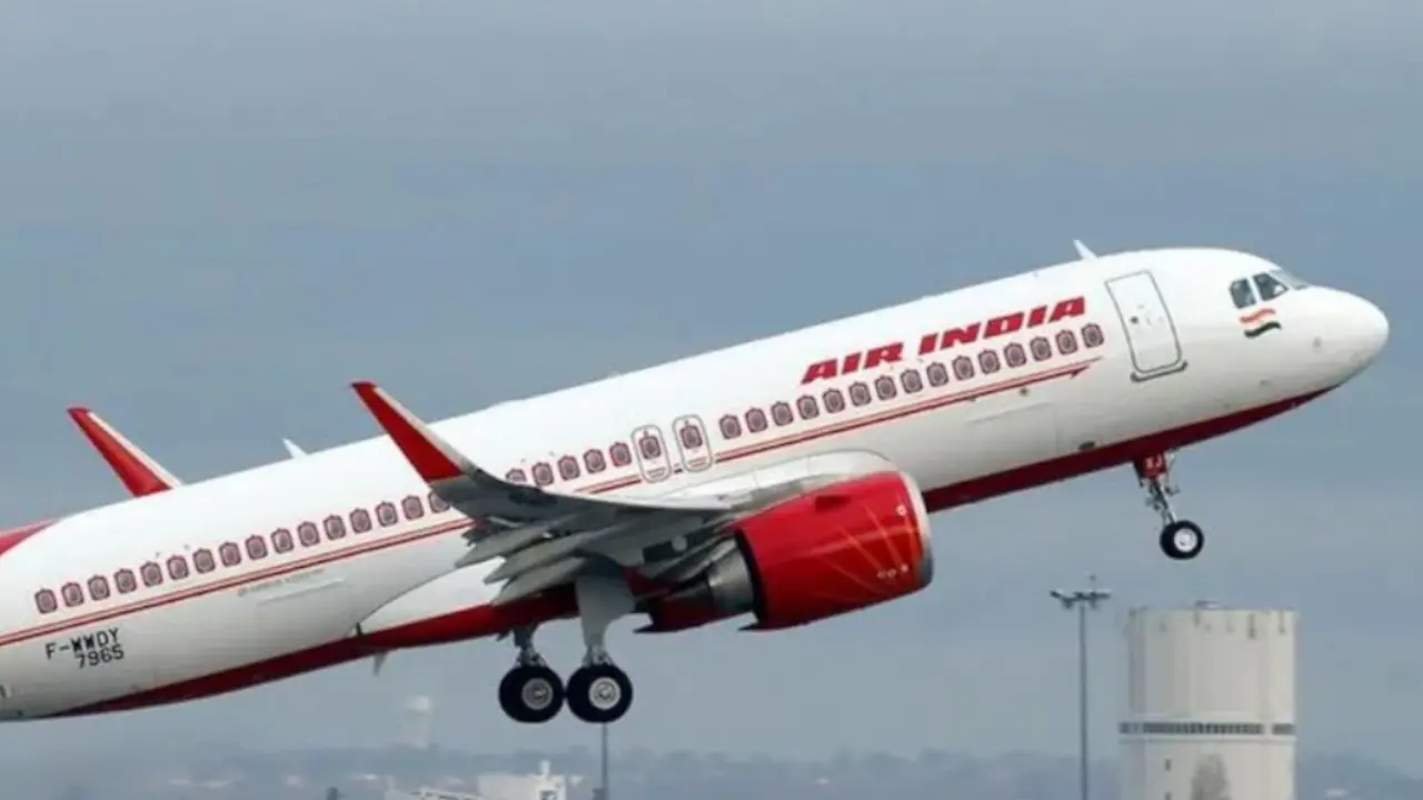 Cat&aacute;strofe a&eacute;rea en un accidente en la India