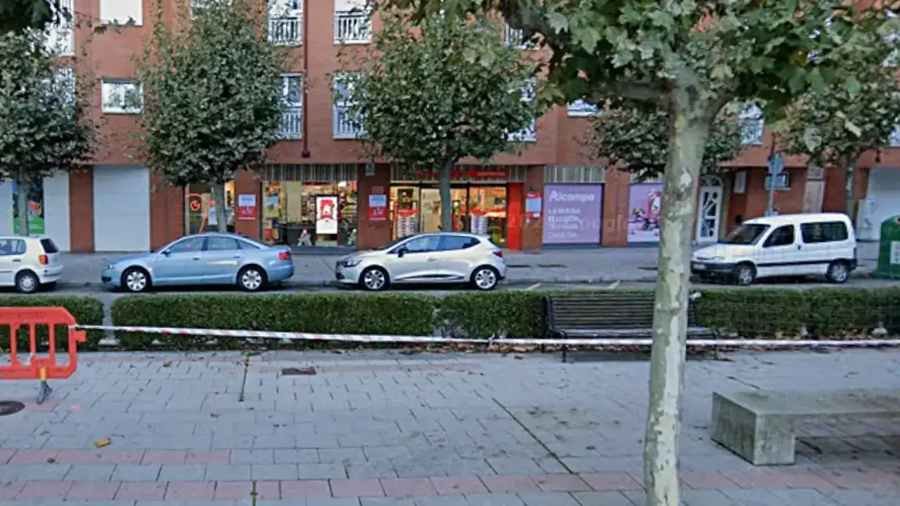 Alcampo de la avenida Reyes Leoneses