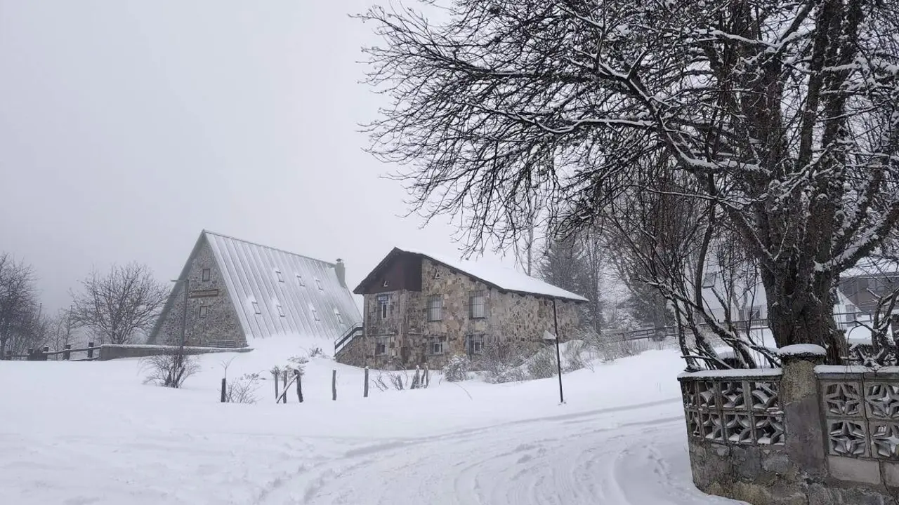 Cubierto por la nieve