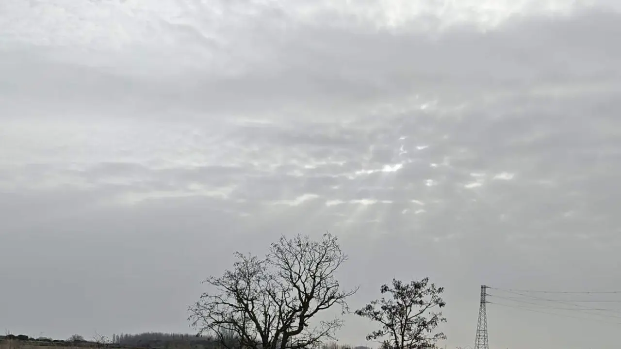 Cielos amarillos