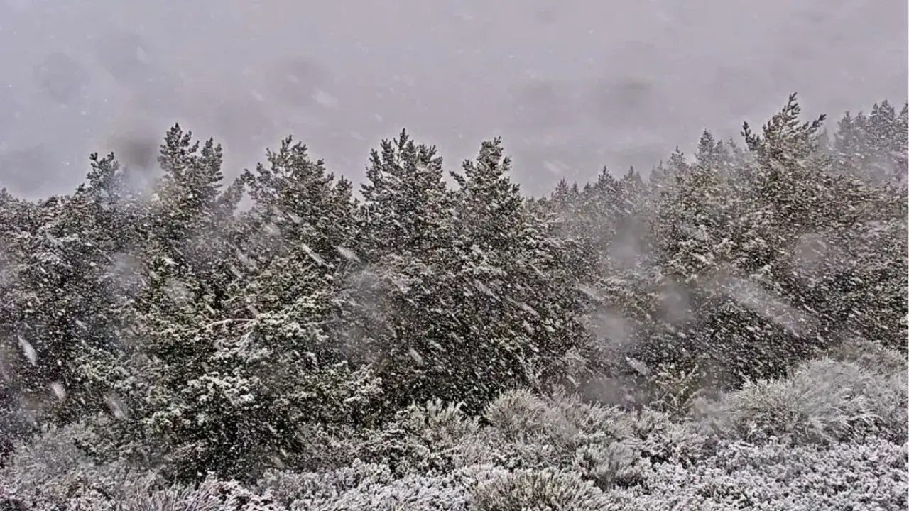 Nieve en La Camperona