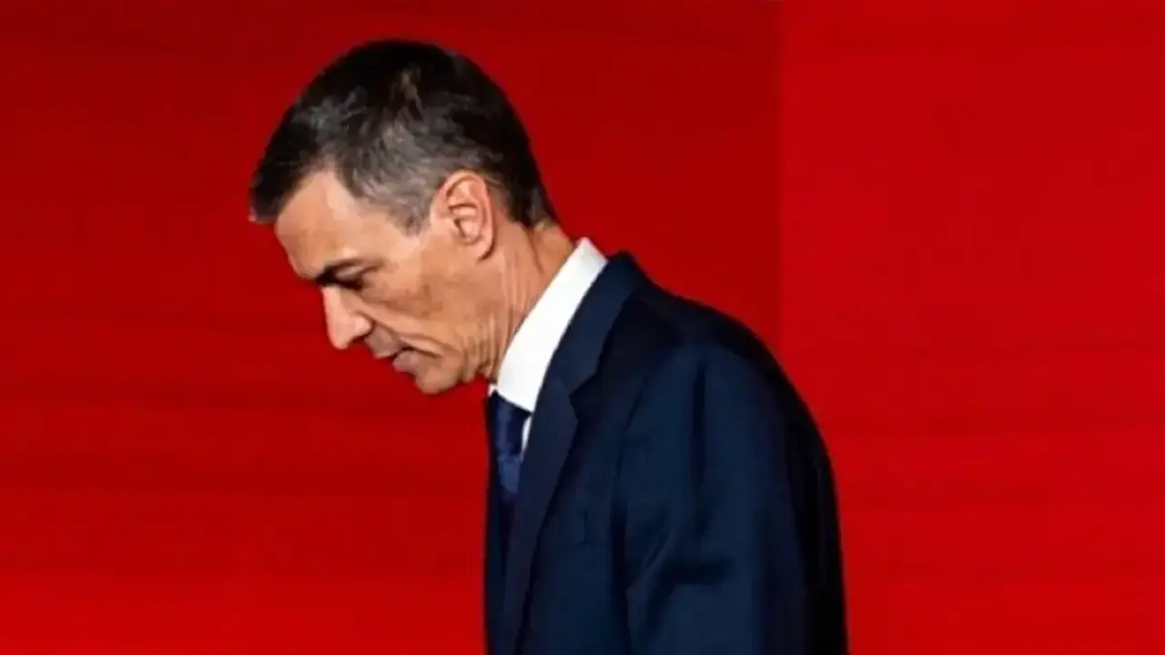 Pedro S&aacute;nchez.