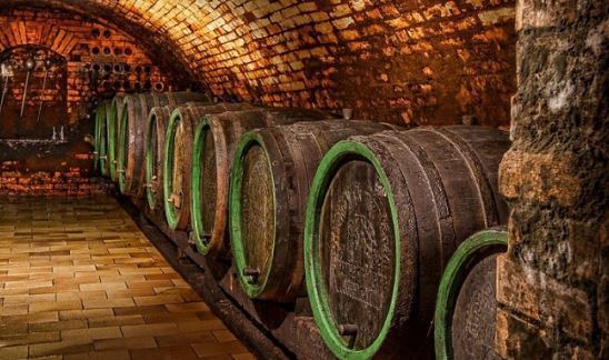 rutas vino castilla leon (4)
