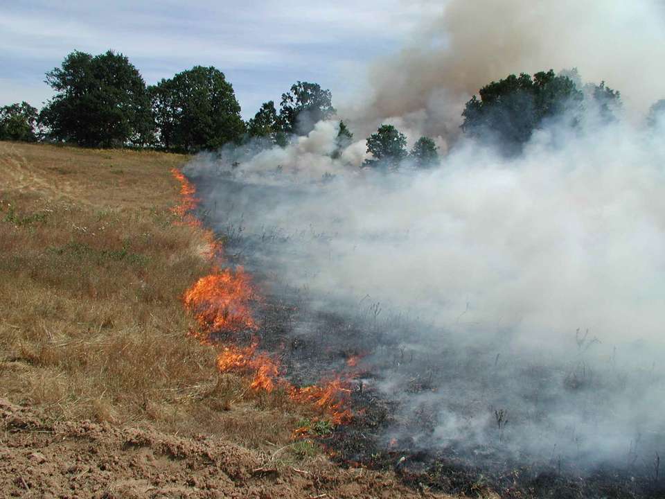 La Junta publica ayudas a las empresas afectadas por el fuego